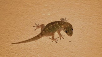 img_title