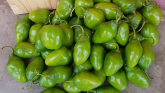 Pecinta Pedas Wajib Coba Resep AC Cabe Gendot ala Teh Shanti