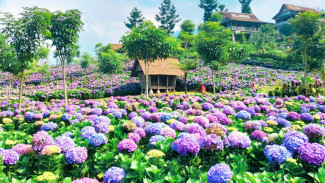 9 Destinasi Taman Bunga di Kota Wisata Batu, Bak di Negeri Dongeng!