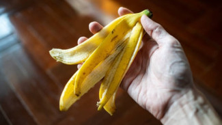 Mengolah Kulit Pisang Inovasi Ramah Lingkungan dari Limbah Menjadi Berkah