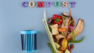 5 Cara Mengolah Lagi Bahan Sisa Makanan, Selamatkan Bumi dari Sampah Dapur!