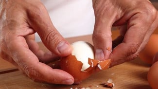 Telur Rebus Susah Dikupas? Ini Rahasia agar Kulitnya Mudah Terlepas