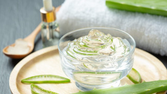 5 Rahasia Manfaat Aloe Vera Segar, Siap Cantik Luar Dalam Secara Alami