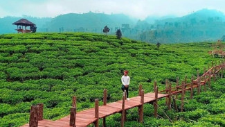 Rekomendasi 5 Tempat Wisata Alam Paling Hits di Jember
