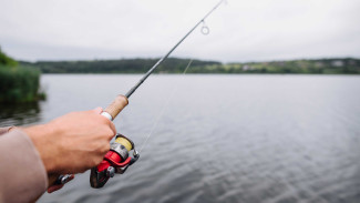 Bikin Mancing Lebih Seru! Kenali 11 Umpan Jitu Khusus Sungai