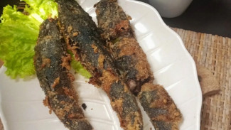 Khasiat Tersembunyi Ikan Lele, Lebih dari Sekadar Lauk Murah Meriah