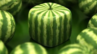 img_title
