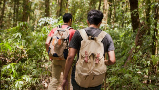 5 Cara Seru Nikmati Adventure di Hutan Kota Tanpa Menguras Kantong!
