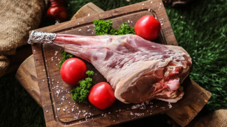Amankan Stok Daging Kurban, 3 Langkah Praktis Penyimpanan di Kulkas Agar Awet