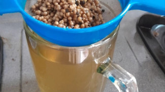 Hangatkan Tubuh dan Sehatkan Pencernaan dengan Teh Ketumbar, Ini Resep dan Tipsnya!