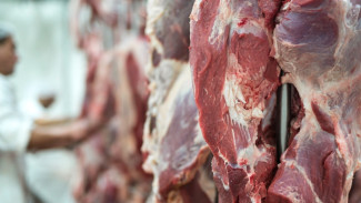 Jangan Salah! Ini Aturan Pembagian Daging Kurban yang Benar