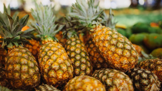 Nanas Ternyata Nggak Tumbuh di Pohon! Fakta Unik yang Bikin Kamu Kaget