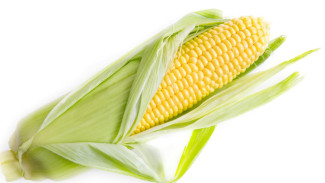 Ingin Jagung Manis yang Segar dan Berkualitas? Ikuti Tips Cerdas Ini Saat Membeli!