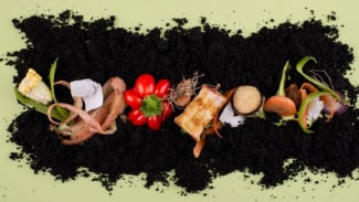 Banyak yang Belum Tahu! Ini Manfaat Eco-enzyme dari Sampah Dapur