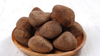Kenali Keluwek, Buah Beracun yang Bawa Kelezatan Tiada Tara di Masakan Nusantara