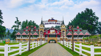 7 Daftar Wisata Puncak Bogor yang Gak Pernah Gagal Bikin Liburan Asyik!
