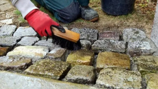 Batu Alam Berlumut? Begini Cara Membersihkannya Sampai Kinclong Lagi!