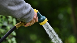 Mau Tanaman Subur? Jangan Siram Tiap Hari, Ini Alasannya