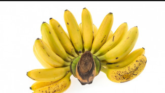 Trik Rahasia Menyimpan Pisang Lebih Awet dan Segar Terus!