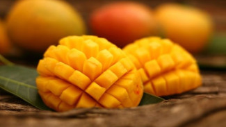 Manfaat Mangga Lebih dari Sekadar Buah Segar