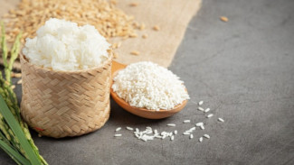 Jangan Dibuang Begitu Saja! 5 Manfaat Air Cucian Beras untuk Menyuburkan Tanaman