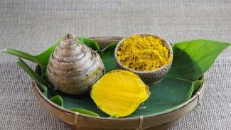 6 Manfaat Temulawak, Tanaman Asli Indonesia untuk Kesehatan Prima dan Awet Muda