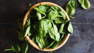 Trik Simpan Sayur Hijau agar Tetap Segar 5 Hari Lebih Lama