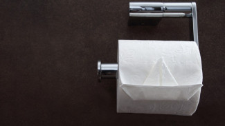 Cara Pakai Tisu Toilet yang Lebih Higienis, Menurut Dokter