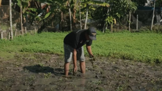 Kampung Semanggi Surabaya, Merawat Warisan Kuliner dan Asa di Tengah Kota