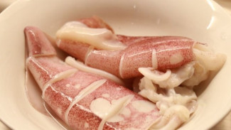 5 Tips Memasak Cumi Cumi Agar Tidak Alot Dan Terasa Lebih Lembut, Dijamin Lezat Dan Bikin Ketagihan
