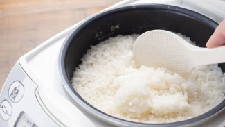 Waspada! Ini Penyebab Nasi Cepat Bau, Berair, dan Basi di Rice Cooker dan Solusinya!