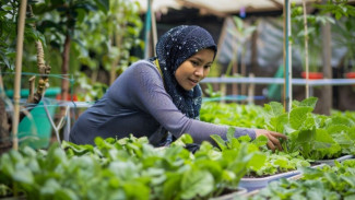 5 Jenis Tanaman untuk Berkebun bagi Pemula yang Cocok Dipilih!
