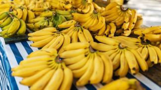 Bongkar Rahasia Kalori Pisang dan Cara Olahnya yang Bikin Kamu Makin Sehat!