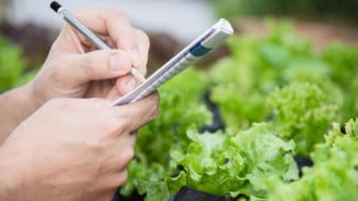Jangan Lakukan! Ini 5 Kesalahan Berkebun bagi Pemula