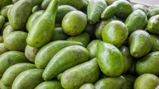 8 Trik Jitu Memilih Buah Alpukat yang Berkualitas dan Matang Sempurna