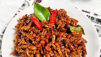 Orek Tempe Gurih Pedas, Resep Lezat dan Tahan Lama yang Wajib Dicoba!