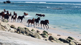 Keindahannya Bikin Terpukau, Ini 8 Pantai Tersembunyi Paling Eksotis di Indonesia