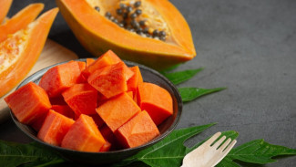 Pepaya California Varietas Baru Banyak Peminat