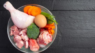 Fakta Penting Tentang Konsumsi Protein: Lebih Banyak Bukan Berarti Lebih Baik