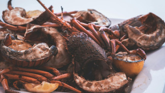 Sejarah Singkat Lobster dari Makanan Rendahan Menjadi Makanan Mewah