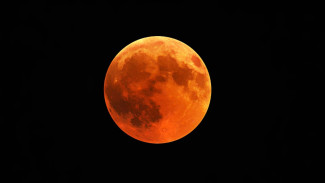 Fakta Unik Strawberry Moon, Apakah Bulan Berbentuk Strawberry?