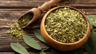 Berukuran Kecil Sejuta Manfaat! Ini Khasiat Daun Kelor (Moringa) yang Perlu Kamu Tahu