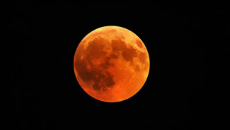 Apa Itu Fenomena Strawberry Moon? Apa yang Harus Dilakukan?