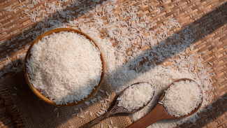 Trik Cerdas Menyimpan Beras agar Bebas dari Kutu