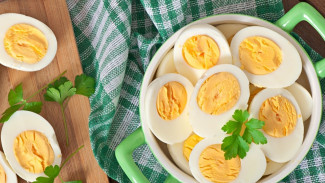 Telur, Rahasia Kecil di Balik Makanan Sejuta Umat