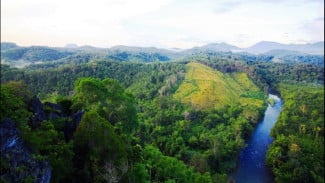 Jelajahi Surga Tersembunyi, Ini 7 Alasan Kenapa Susur Sungai Amuntai Wajib Ada di Bucket List Kamu!