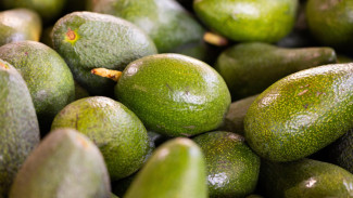 Biar Perut Rata Tanpa Ribet, 7 Makanan Pembakar Lemak yang Terbukti Bantu Diet!