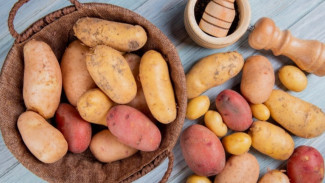 7 Alternatif Makanan Pengganti Nasi yang Kaya Nutrisi