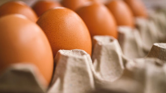 5 Kesalahan Saat Menyimpan Telur di Kulkas, Nomor 2 Sering Dilakukan