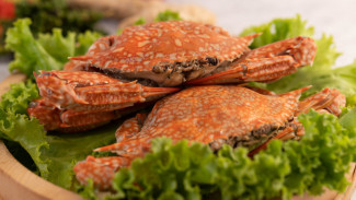 Rahasia Membersihkan Kepiting Anti Ribet, Resep Lezat Dimulai dari Sini!